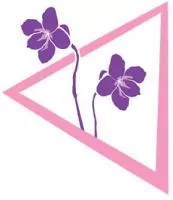 Purple violet in a pink triangle